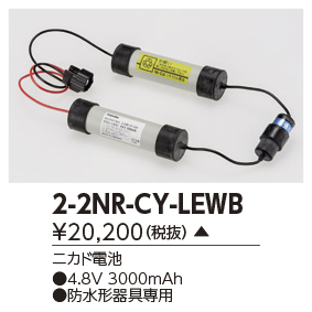 2-2NR-CY-LEW Bの画像