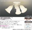 BFC30004ZELの画像