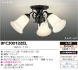 BFC30012ZELの画像