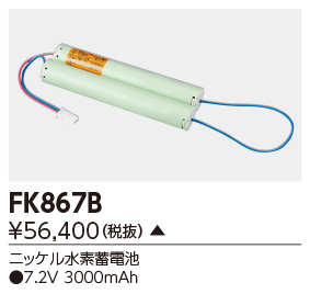 FK867B.jpg