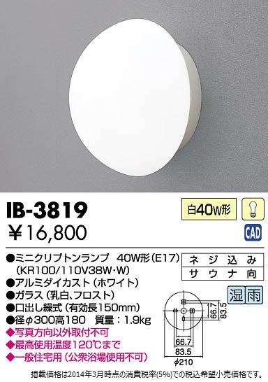 IB-3819.jpg