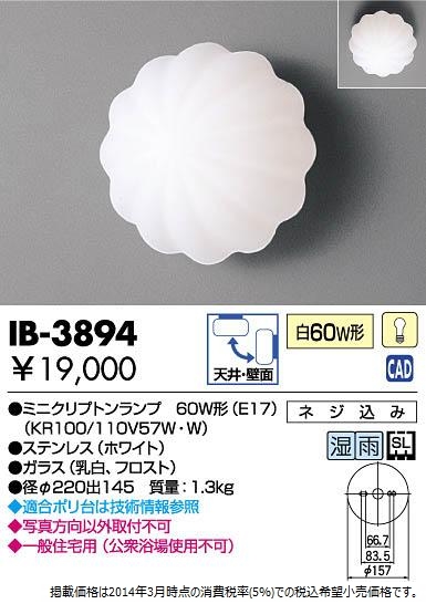 IB-3894.jpg