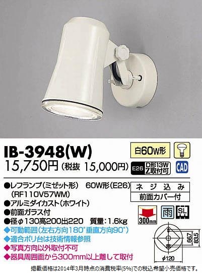 IB-3948(W).jpg