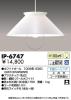 IP-6747の画像